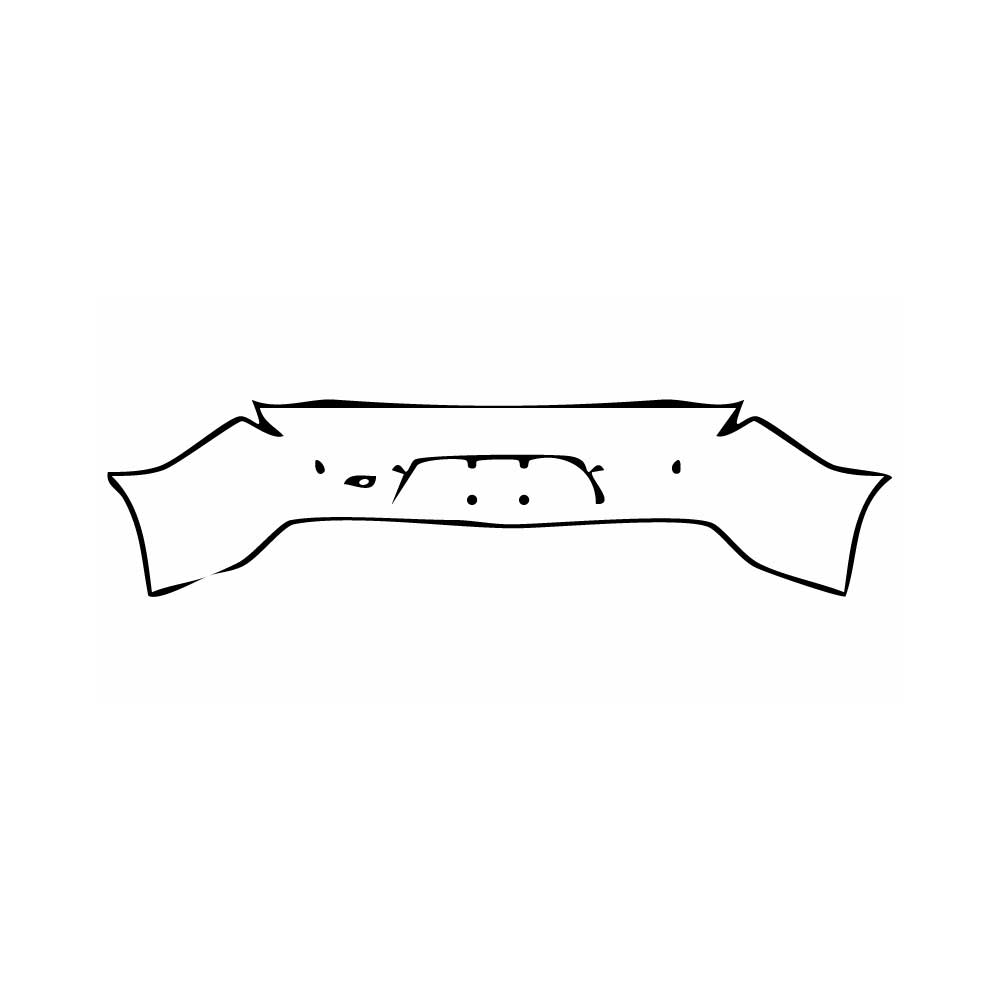 Pre-Cut PPF Chevrolet Camaro SS Coupe 2024 - PPF-Kits