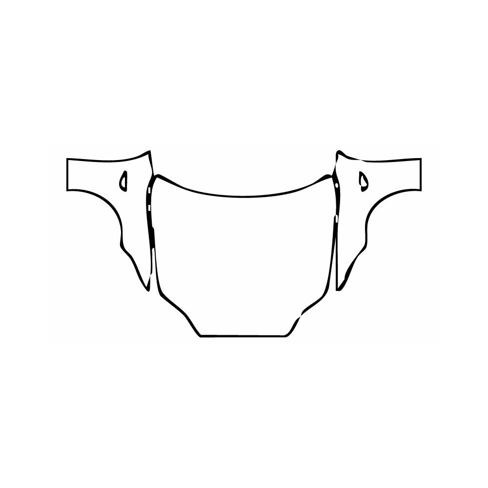 Pre-Cut PPF Tesla Model S 2012 - PPF-Kits