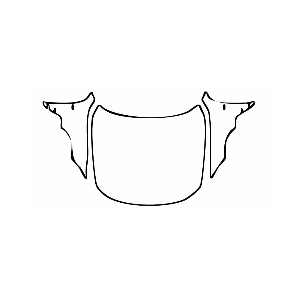 Pre-Cut PPF BMW 4 Series Gran Coupe M Sport 2024 - PPF-Kits