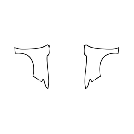 Pre-Cut PPF Cadillac ESCALADE-V ESV 2024 - PPF-Kits