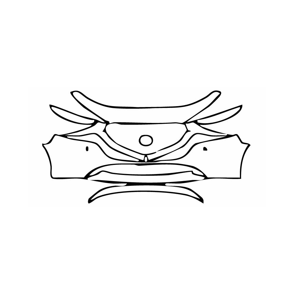 Pre-Cut PPF Mazda Axela (Mazda 3) Hatchback 2024 - PPF-Kits