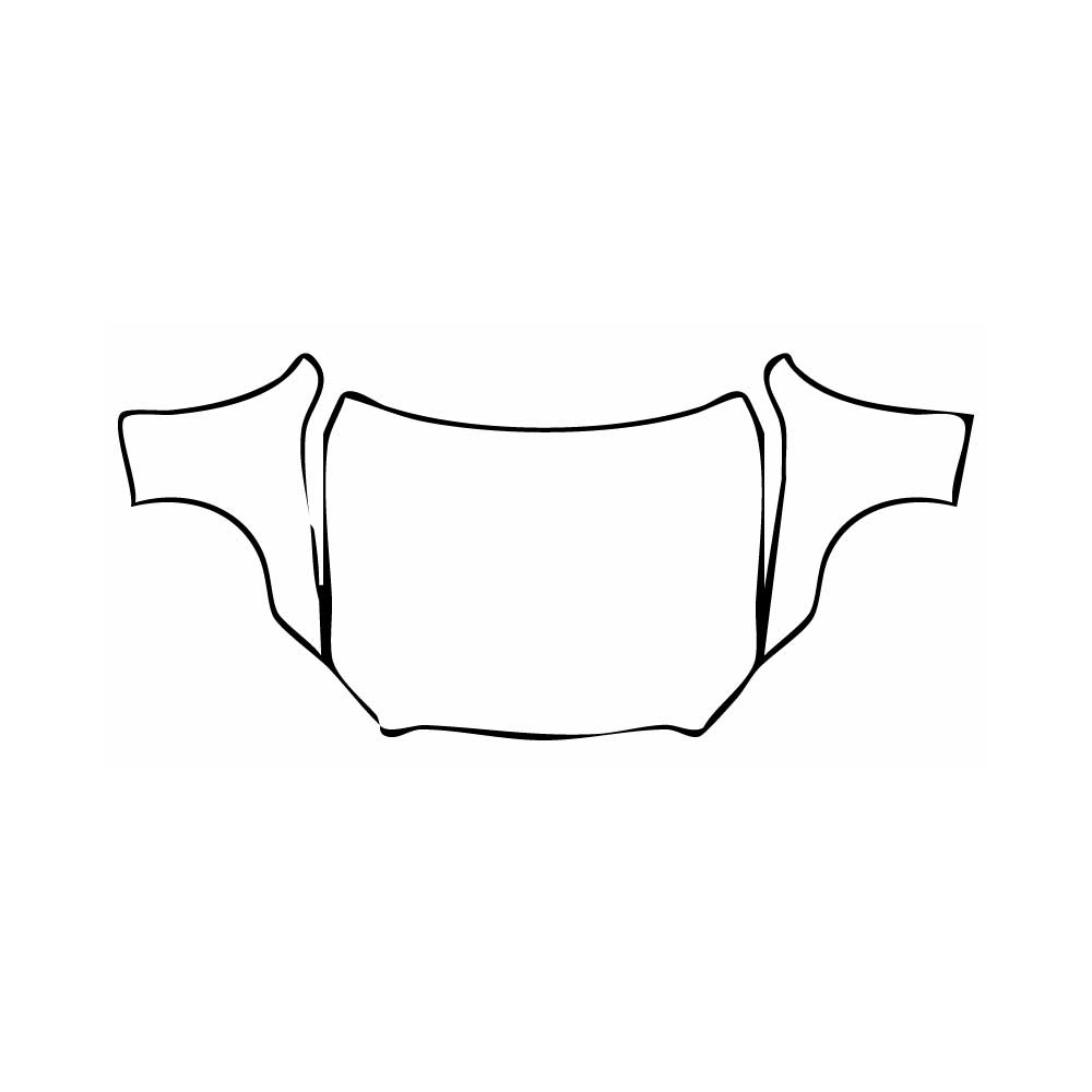 Pre-Cut PPF Mercedes-Benz C Class Sedan AMG Line Extended Wheelbase 2024 - PPF-Kits