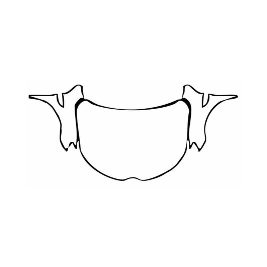 Pre-Cut PPF Renault Arkana Techno 2025 - PPF-Kits