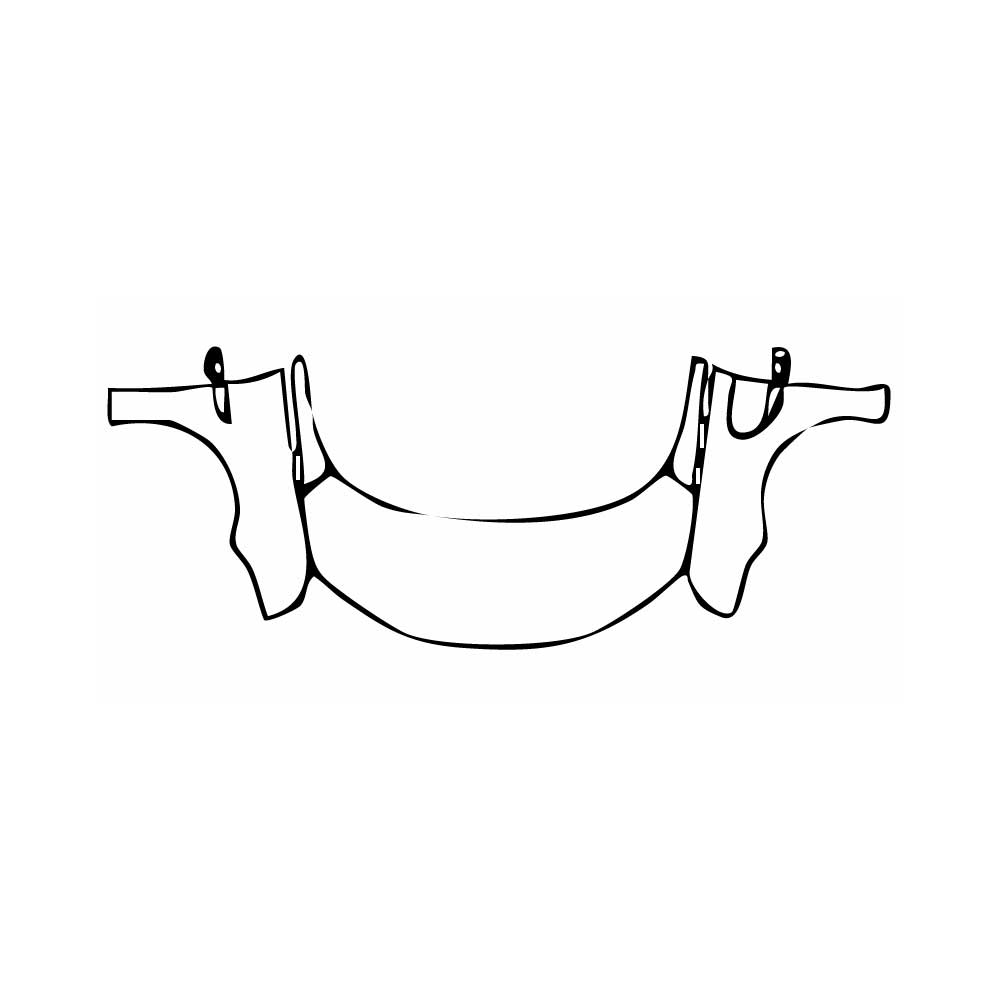 Pre-Cut PPF Zeekr 009 2025 - PPF-Kits
