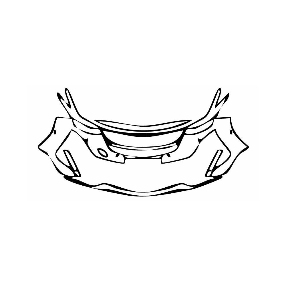 Pre-Cut PPF Cadillac CT5 (US) Sport 2024 - PPF-Kits