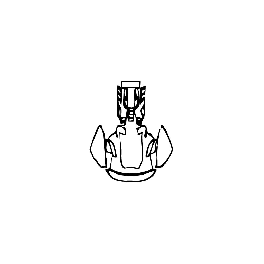 Pre-Cut PPF Lamborghini Revuelto 2024 - PPF-Kits