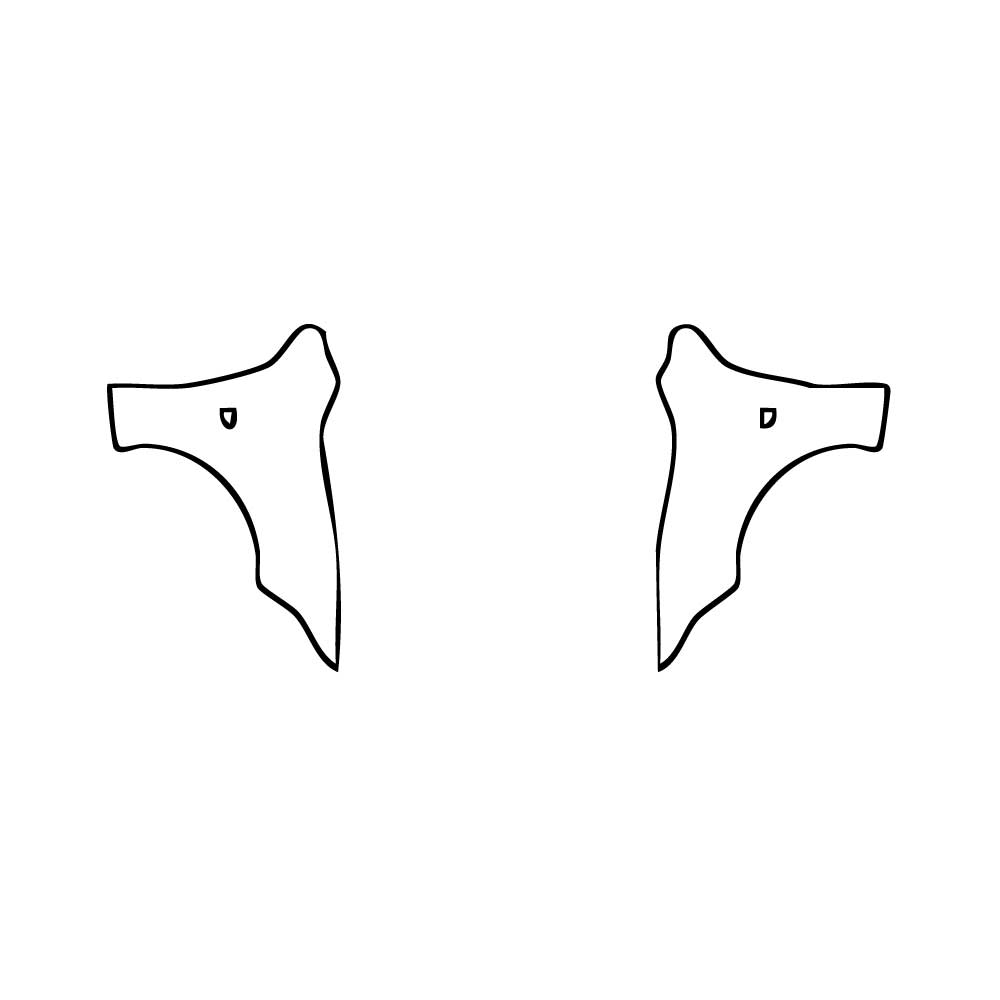 Pre-Cut PPF Lexus IS Sedan F-Sport 2024 - PPF-Kits