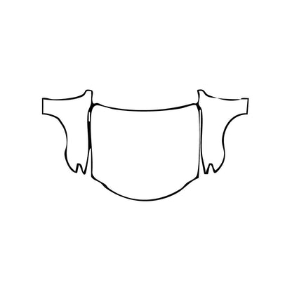 Pre-Cut PPF Lexus RC Base 2024 - PPF-Kits