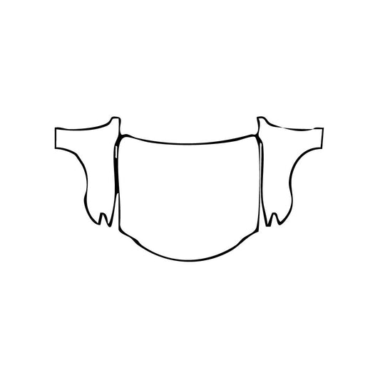 Pre-Cut PPF Lexus RC F-Sport 2024 - PPF-Kits