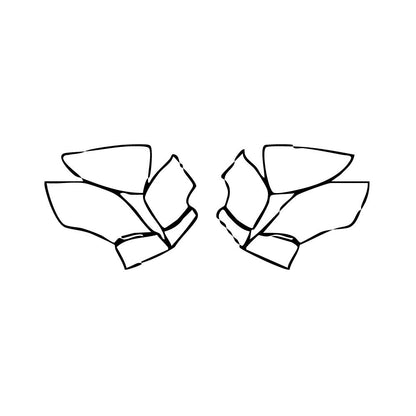 Pre-Cut PPF Lexus UX F-Sport 2024 - PPF-Kits