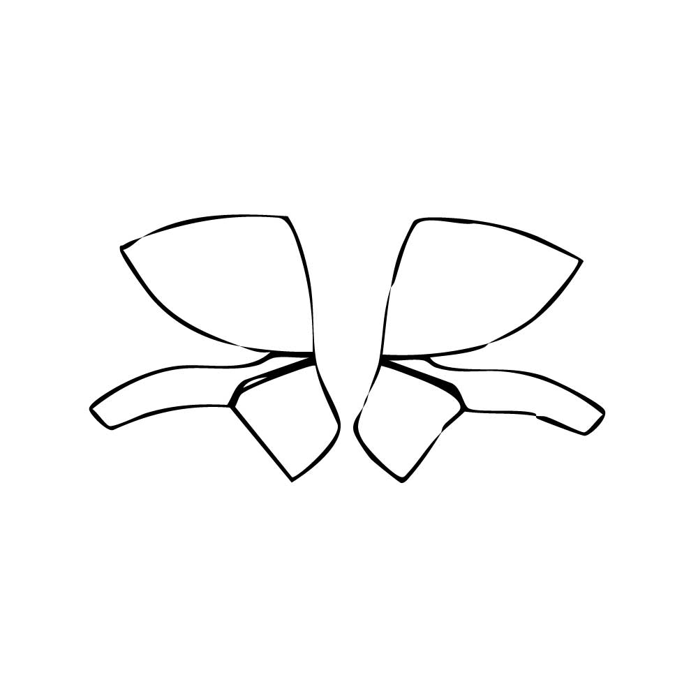 Pre-Cut PPF Mercedes-Benz EQS AMG 53 2024 - PPF-Kits