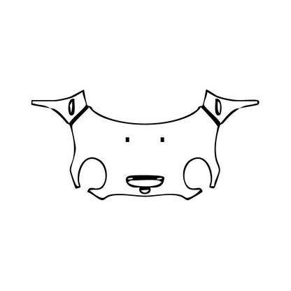 Pre-Cut PPF MINI MINI Convertible Cooper S Sport 2024 - PPF-Kits