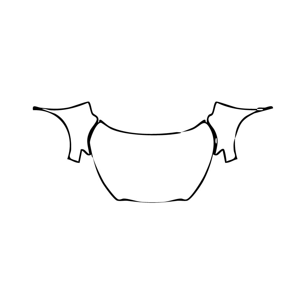 Pre-Cut PPF Nissan Kicks SV 2024 - PPF-Kits