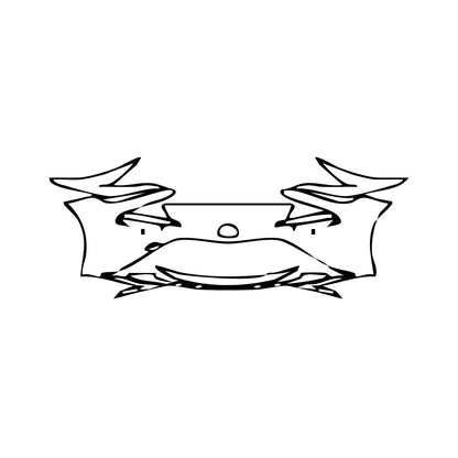 Pre-Cut PPF Toyota Mirai 2021 - PPF-Kits