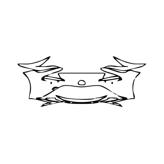 Pre-Cut PPF Toyota Mirai 2021 - PPF-Kits