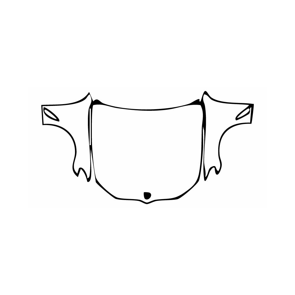 Pre-Cut PPF BMW Alpina B5 Saloon 2020 - PPF-Kits