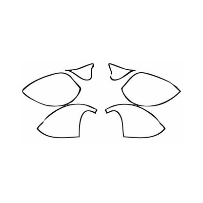 Pre-Cut PPF Dodge Challenger Standard body R T SCAT PACK 2016 - PPF-Kits