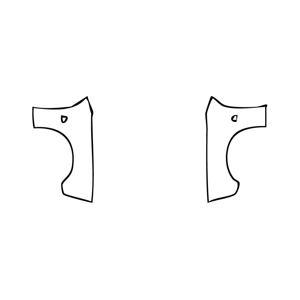 Pre-Cut PPF Dodge Challenger Standard body R T SCAT PACK 2019 - PPF-Kits