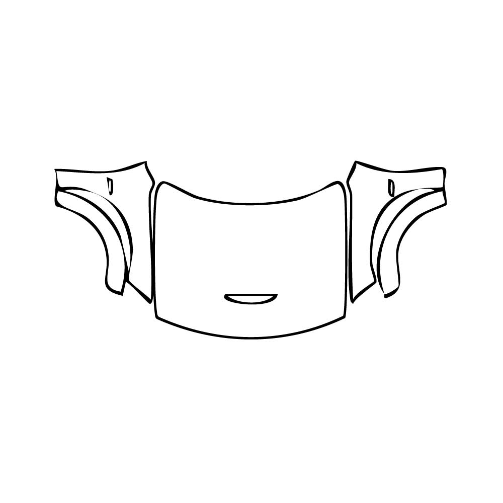 Pre-Cut PPF Dodge Charger Widebody SCAT PACK 2020 - PPF-Kits