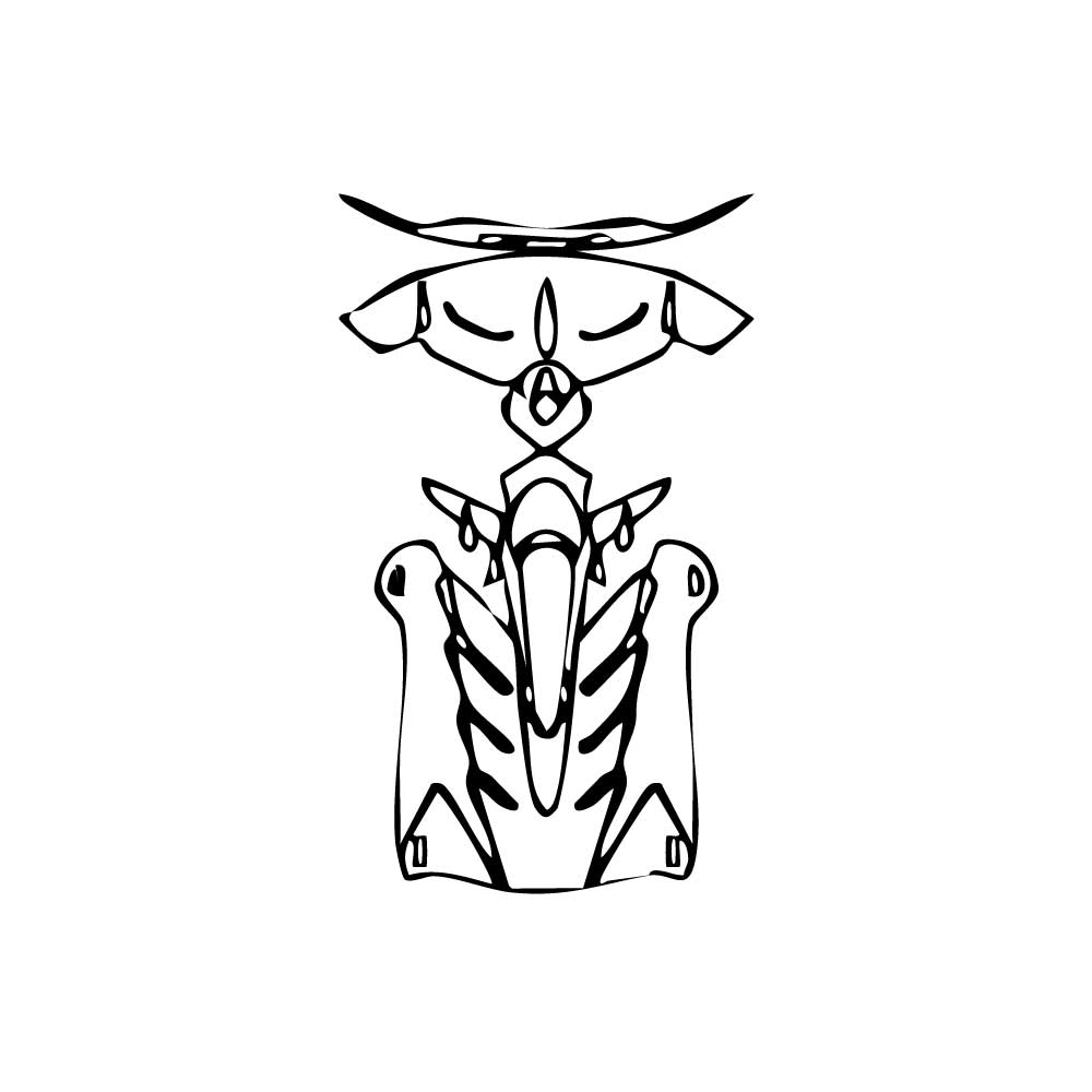 Pre-Cut PPF Lamborghini Aventador Avendator SVJ 63 Roadster 2019 - PPF-Kits