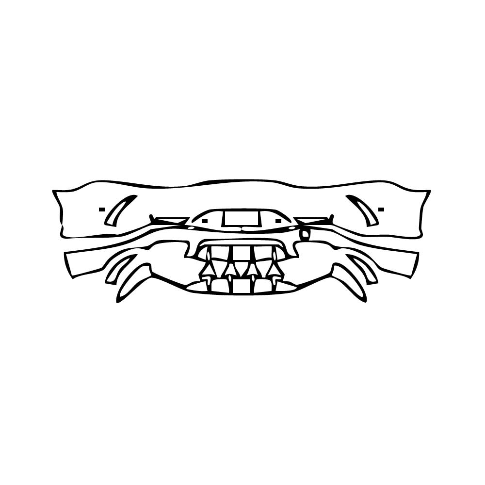 Pre-Cut PPF Mercedes-Benz AMG GT 4-Door 63 S 2019 - PPF-Kits