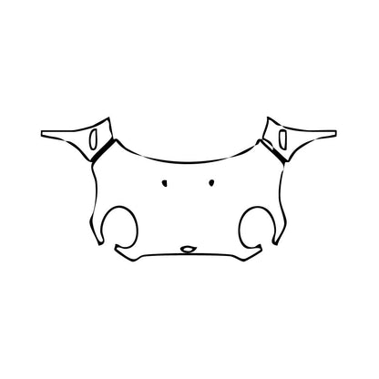 Pre-Cut PPF MINI MINI Hardtop 4 Door Cooper Sport 2021 - PPF-Kits