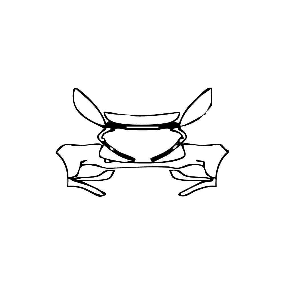 Pre-Cut PPF Ford Escape (CN) Luxury 2020 - PPF-Kits