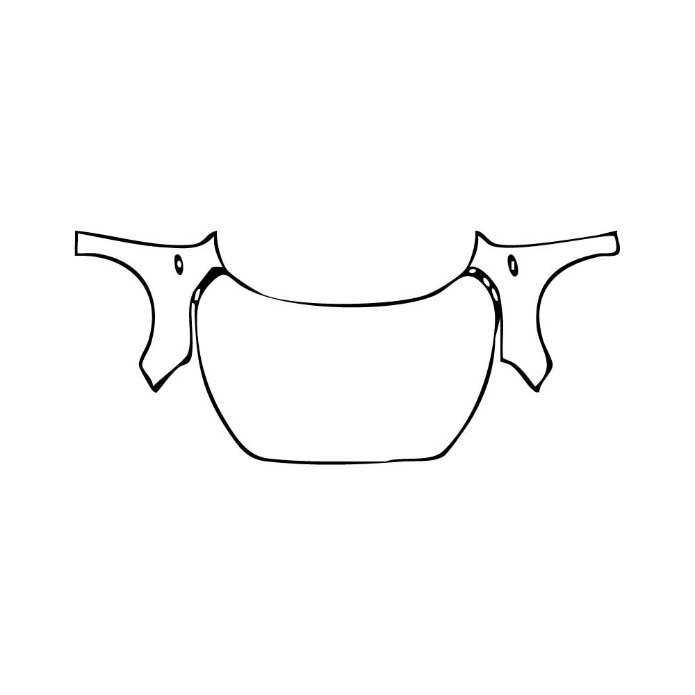 Pre-Cut PPF Ford Focus Hacthback ST 2019 - PPF-Kits