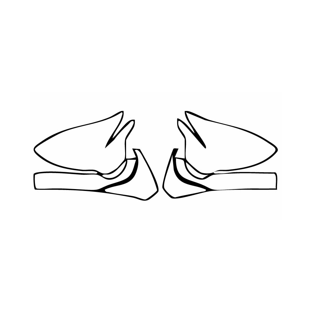 Pre-Cut PPF BMW 2 Series M2 Competition 2018 - PPF-Kits