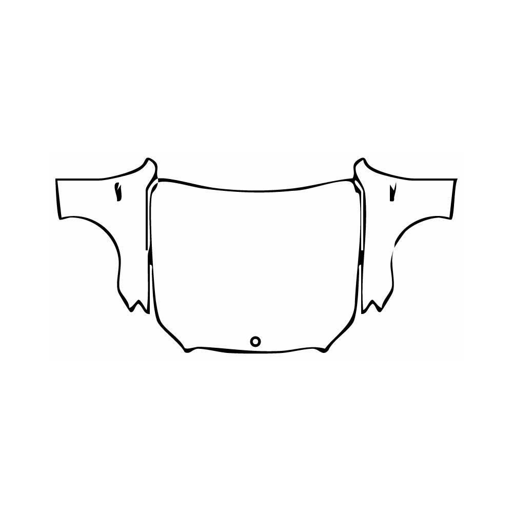 Pre-Cut PPF Mercedes-Benz E Class Sedan AMG E43 2017 - PPF-Kits