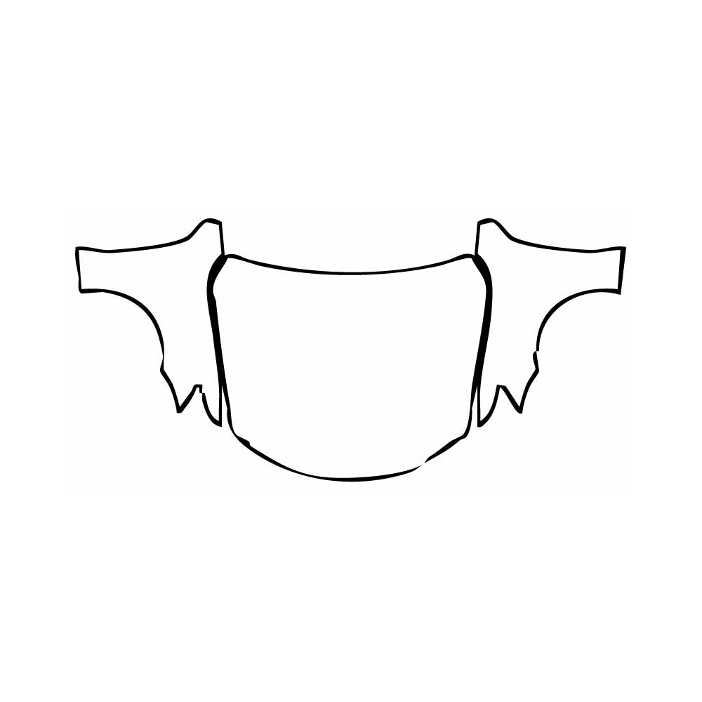 Pre-Cut PPF Lexus IS Sedan Base 2013 - PPF-Kits