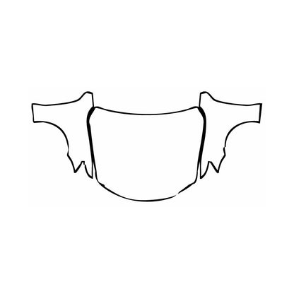 Pre-Cut PPF Lexus IS Sedan Base 2013 - PPF-Kits