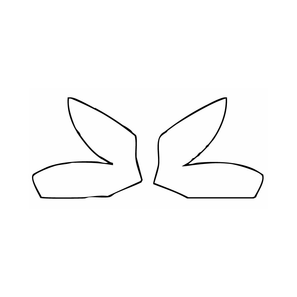 Pre-Cut PPF BMW Z4 Base 2009 - PPF-Kits