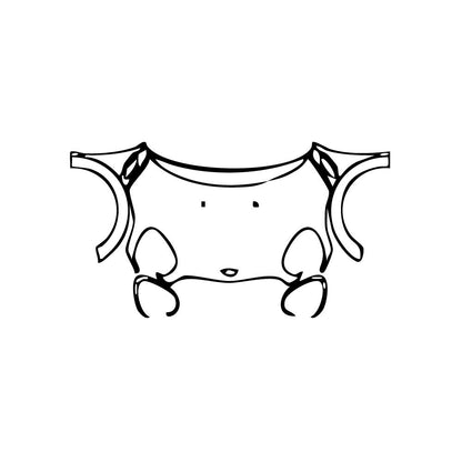 Pre-Cut PPF MINI MINI Countryman Cooper S All4 2012 - PPF-Kits