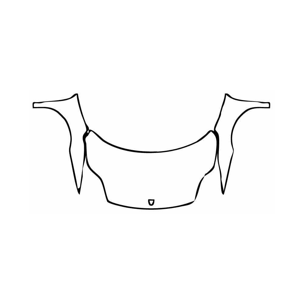 Pre-Cut PPF Lamborghini Gallardo LP 570-4 Superleggera 2011 - PPF-Kits