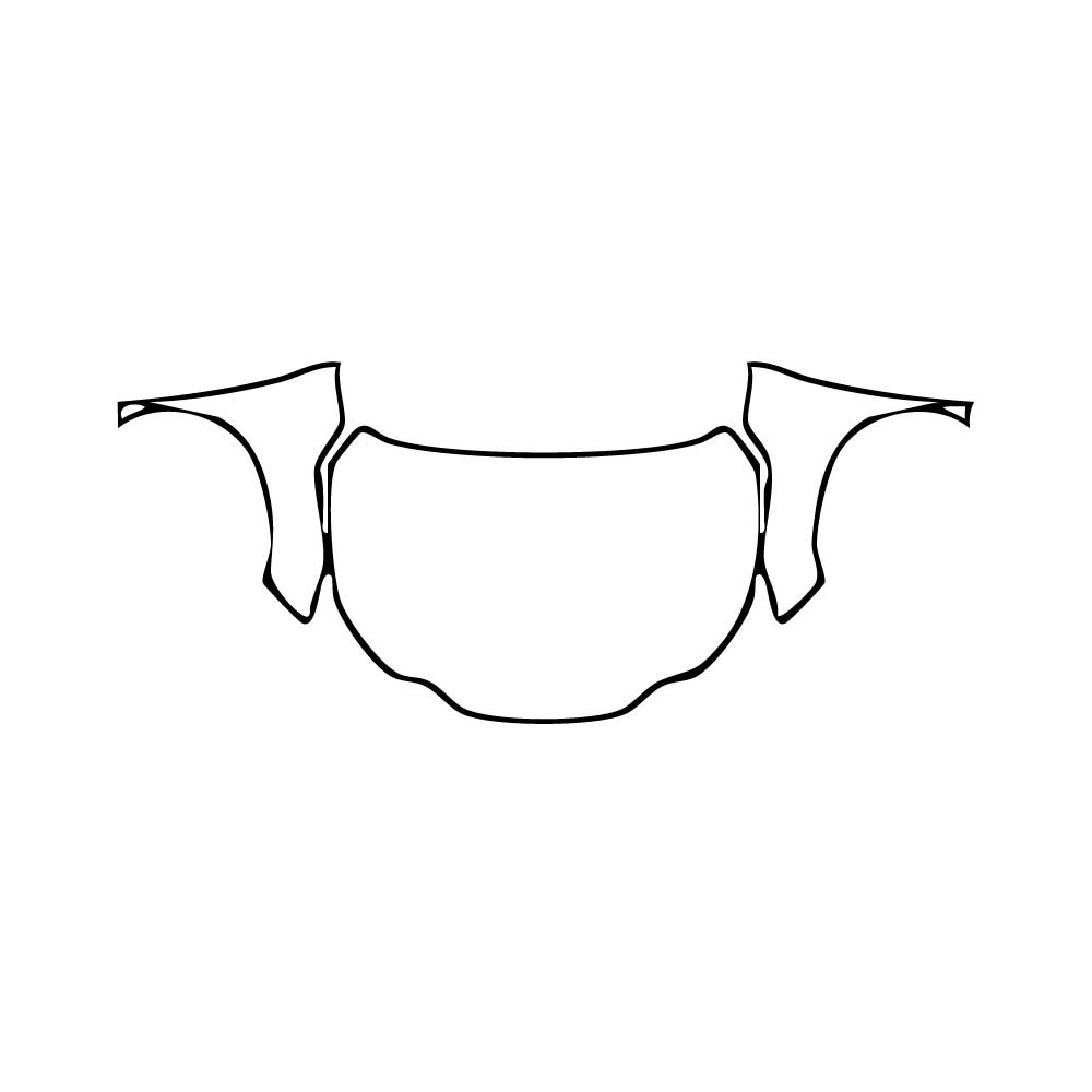 Pre-Cut PPF Lexus NX Base 2025 - PPF-Kits