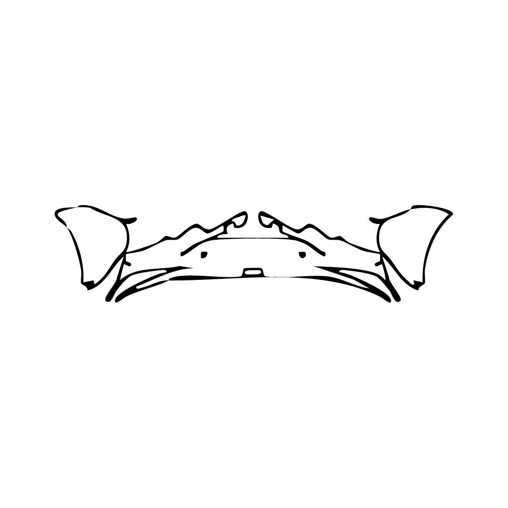 Pre-Cut PPF McLaren Artura Coupe 2025 - PPF-Kits