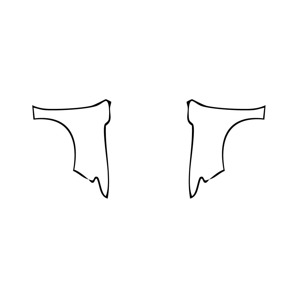 Pre-Cut PPF Cadillac Escalade Standard Wheelbase Sport 2025 - PPF-Kits