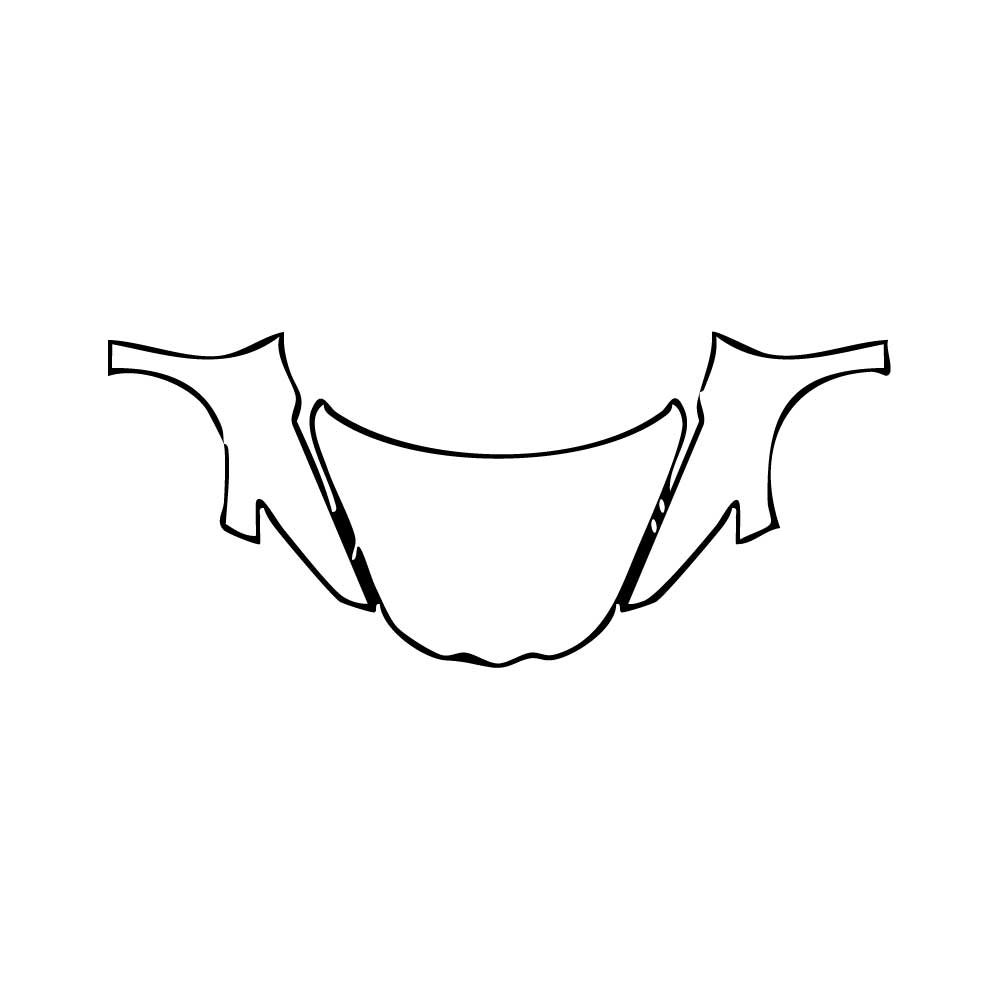 Pre-Cut PPF Chevrolet Corvette Stingray Convertible 2025 - PPF-Kits