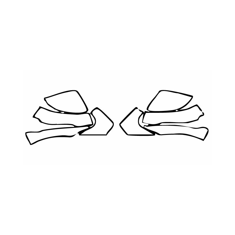 PPF precortado BMW 1 Series 5-door Sports Hatch M135i 2025