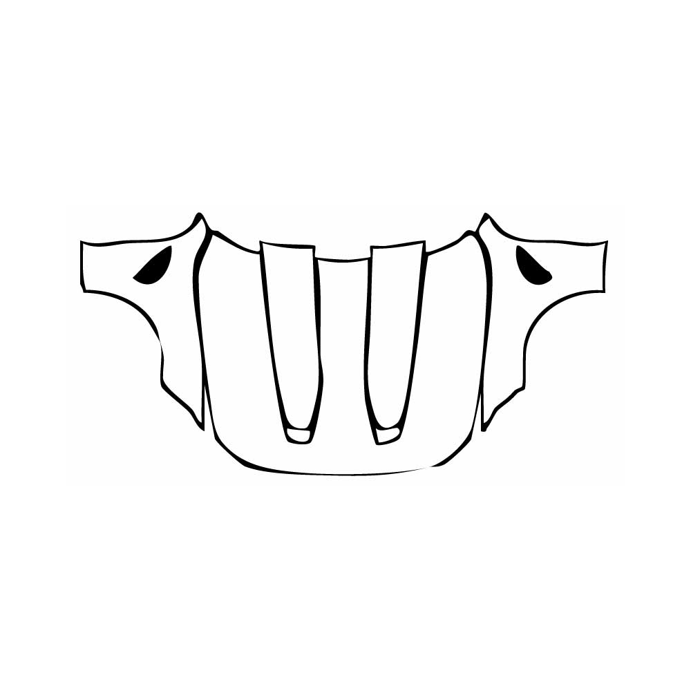 Pre-Cut PPF BMW 4 Series Coupe M4 CS 2025