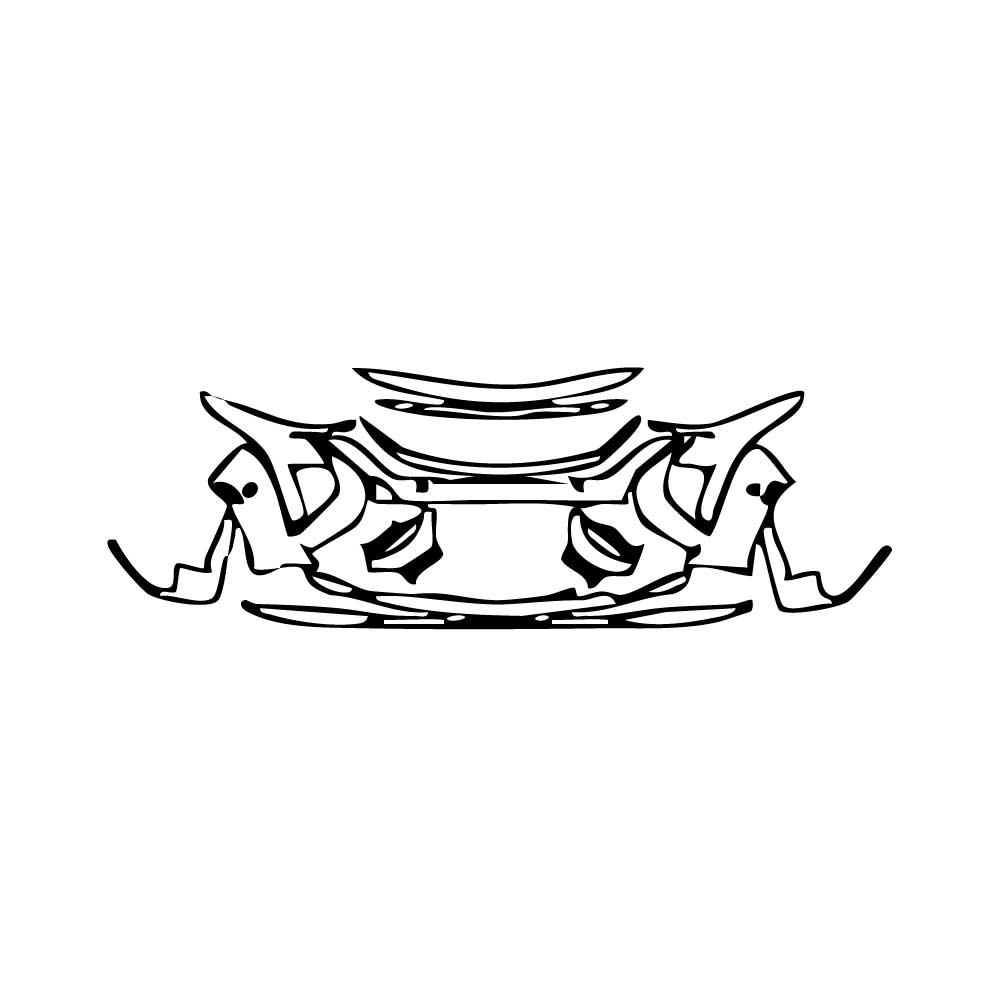 Pre-Cut PPF Cadillac CT5 V-Series Blakwing 2025