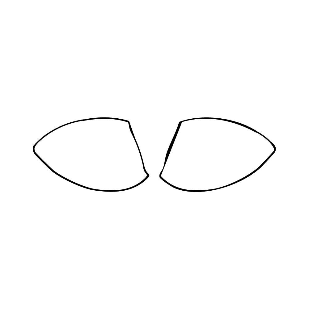 Pre-Cut PPF Honda Elevate (IN) ZX 2025