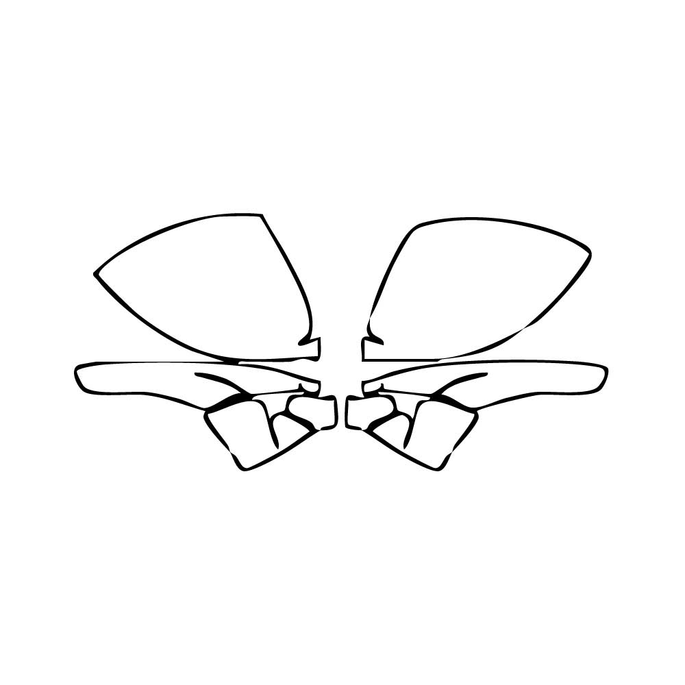 Pre-Cut PPF Porsche 718 Cayman Cayman GT4RS 2025