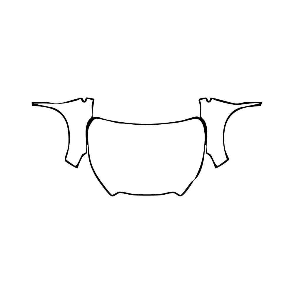 Pre-Cut PPF Subaru Ascent (US) Premium 2025