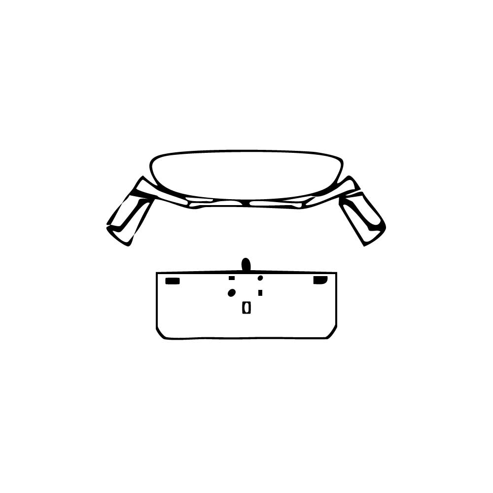 PPF precortado Zeekr 009 Base 2025