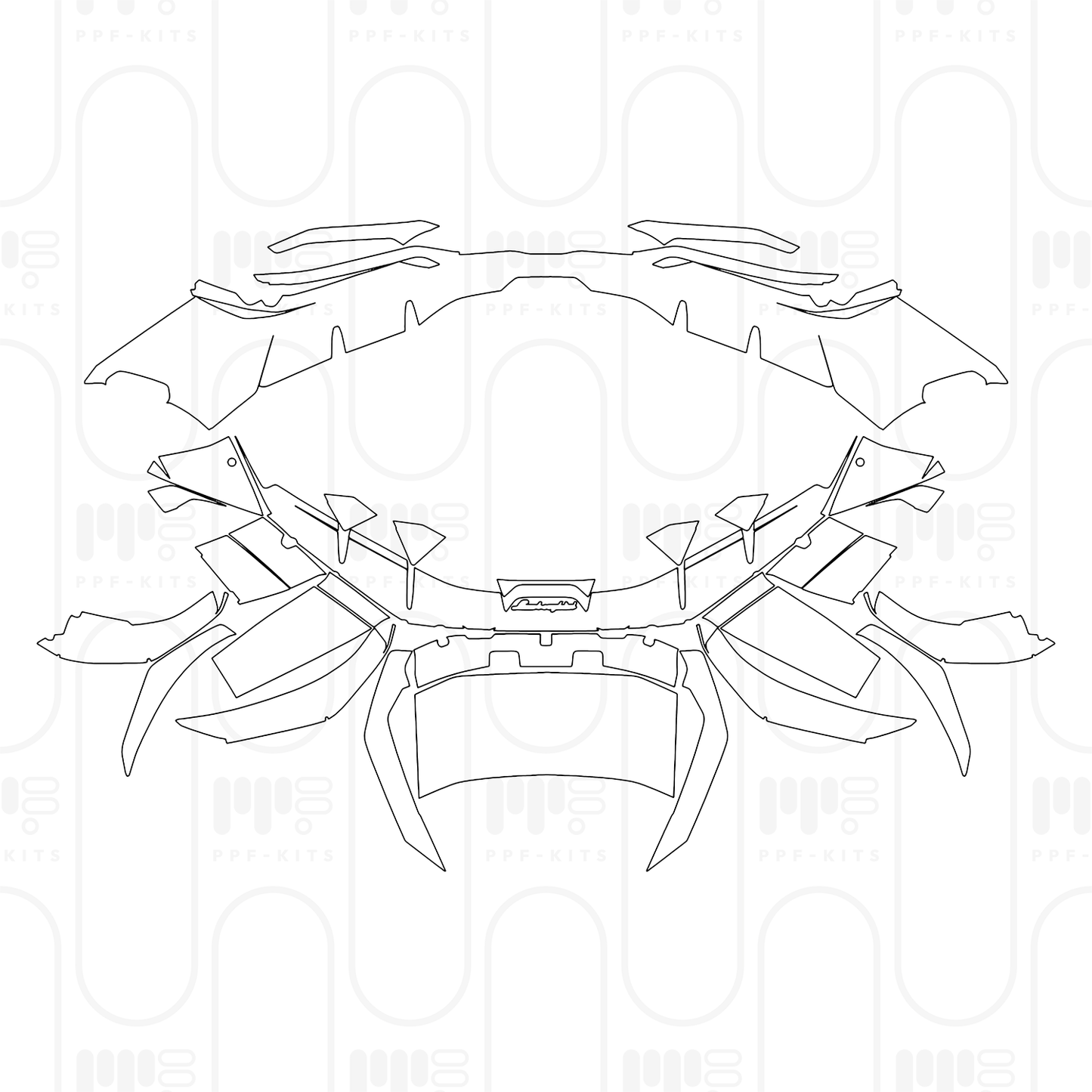 Pre-Cut PPF Lamborghini Revuelto 2025