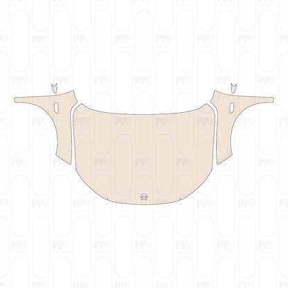 PPF precortado NIO EC6 2024